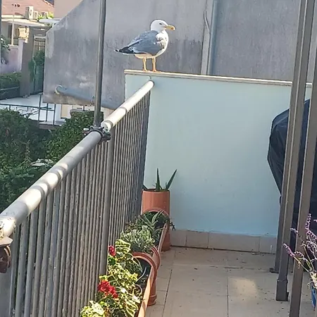 Appartement Roof Garden Center *
