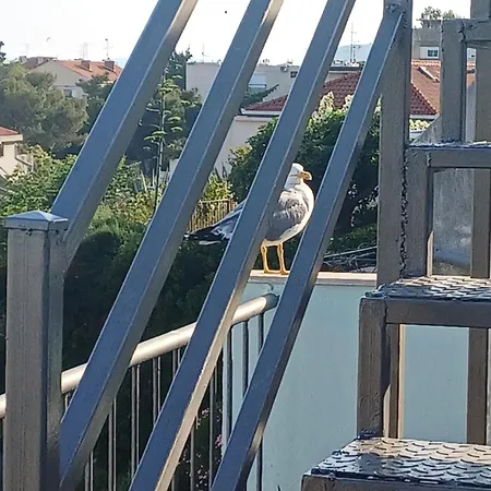 Roof Garden Center * Split